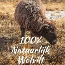 Tofvel Rabara Pantoffels Rood Uni (TF2000-03) -Dames Winkel 550x690 2